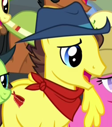 Size: 506x574 | Tagged: safe, screencap, character:bandana baldwin, character:high stakes, species:earth pony, species:pony, episode:appleoosa's most wanted, g4, my little pony: friendship is magic, appleloosa resident, background pony, bandana, clothing, cowboy hat, cropped, hat, male, solo focus, stallion