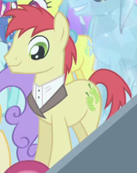 Size: 202x255 | Tagged: safe, screencap, character:don neigh, species:crystal pony, species:pony, episode:equestria games, g4, my little pony: friendship is magic, background pony, cropped, male, stallion
