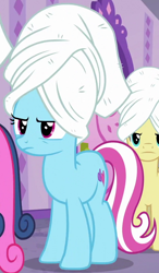 Size: 596x1020 | Tagged: safe, screencap, character:bon bon, character:mystery mint, character:sweetie drops, species:earth pony, species:pony, episode:applejack's day off, background pony, female, male, mare, stallion, unnamed pony