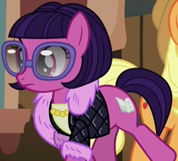 Size: 890x806 | Tagged: safe, screencap, character:applejack, species:earth pony, species:pony, episode:made in manehattan, g4, my little pony: friendship is magic, background pony, barbara banter, clothing, female, fur scarf, glasses, jacket, jewelry, mare, necklace, scarf