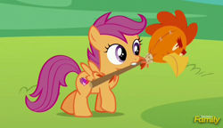 Size: 1522x874 | Tagged: safe, screencap, character:scootaloo, species:chicken, species:pegasus, species:pony, episode:the cart before the ponies, g4, my little pony: friendship is magic, billywitchdoctor.com, cute, cutealoo, cutie mark, discovery family logo, female, filly, frown, glare, mouth hold, raised hoof, scootachicken, solo, spread wings, the cmc's cutie marks, walking, wings
