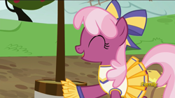Size: 1920x1080 | Tagged: safe, screencap, character:cheerilee, species:pony, episode:the cart before the ponies, g4, my little pony: friendship is magic, cheerileeder, cheerleader