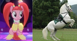 Size: 1173x629 | Tagged: safe, screencap, character:pacific glow, species:pony, episode:the saddle row review, g4, my little pony: friendship is magic, comparison, horse, horses doing horse things, lipizzaner, rearing, twins