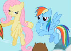 Size: 703x505 | Tagged: safe, screencap, character:fluttershy, character:rainbow dash, species:pegasus, species:pony, episode:may the best pet win, g4, my little pony: friendship is magic, duo, female, flying, lidded eyes, mare, out of context
