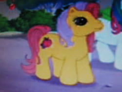 Size: 2272x1704 | Tagged: safe, screencap, character:apple spice, species:pony, episode:friends are never far away, g3