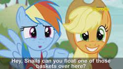 Size: 1909x1069 | Tagged: safe, official, screencap, character:applejack, character:rainbow dash, species:earth pony, species:pegasus, species:pony, episode:buckball season, g4, my little pony: friendship is magic, cute, discovery family logo, female, grin, jackabetes, mare, open mouth, preview, smiling, subtitles, trailer
