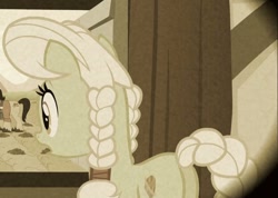 Size: 762x544 | Tagged: safe, screencap, character:granny smith, species:pony, episode:family appreciation day, g4, my little pony: friendship is magic, cropped, female, mare, plot, young granny smith