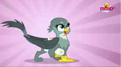 Size: 1282x711 | Tagged: safe, screencap, character:gabby, species:griffon, episode:the fault in our cutie marks, g4, my little pony: friendship is magic, cute, gabbybetes, minimini, solo