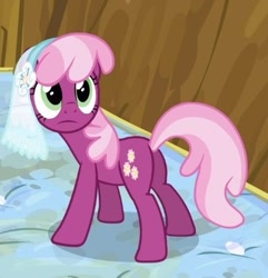 Size: 337x350 | Tagged: safe, screencap, character:cheerilee, species:pony, episode:hearts and hooves day, g4, my little pony: friendship is magic, cropped, female, flowerbutt, mare, mattress, plot, solo, veil, wedding veil