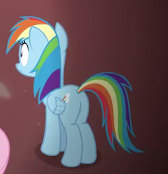 Size: 341x354 | Tagged: safe, screencap, character:rainbow dash, species:pony, episode:every little thing she does, g4, my little pony: friendship is magic, cropped, female, hypnosis, mare, plot