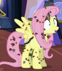Size: 648x744 | Tagged: safe, screencap, character:fluttershy, species:bat, species:pegasus, species:pony, episode:every little thing she does, g4, my little pony: friendship is magic, beetle, centipede, creepy crawlies, cropped, female, hypnosis, hypnotized, insect, mare, open mouth, parasite, rat, smiling, snake, solo, spider, spread wings, thousand yard stare, wide eyes, wings