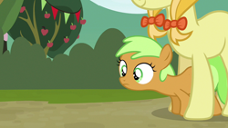 Size: 1280x720 | Tagged: safe, screencap, character:apple crumble, character:jonagold, species:earth pony, species:pony, episode:apple family reunion, g4, my little pony: friendship is magic, apple family member, female, filly, mare, protecting