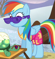 Size: 300x323 | Tagged: safe, screencap, character:rainbow dash, character:tank, species:pegasus, species:pony, episode:tanks for the memories, g4, my little pony: friendship is magic, clothing, cropped, duo, female, mare, outfit catalog, shorts, shutter shades, sunglasses, swimsuit, tortoise, winter swimsuit