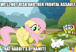 Size: 854x588 | Tagged: safe, screencap, character:angel bunny, character:fluttershy, apple, caption, eating, intro, monty python, monty python and the holy grail, opening, reference
