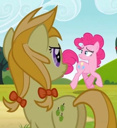 Size: 558x606 | Tagged: safe, screencap, character:jonagold, character:pinkie pie, species:pony, episode:too many pinkie pies, g4, my little pony: friendship is magic, apple family member, cropped, female, mare, plot
