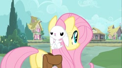Size: 1100x618 | Tagged: safe, screencap, character:angel bunny, character:fluttershy, species:pony, episode:just for sidekicks, g4, my little pony: friendship is magic, female, mare, plot, saddle bag