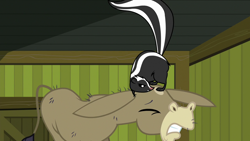 Size: 1280x720 | Tagged: safe, screencap, character:cranky doodle donkey, species:donkey, episode:28 pranks later, g4, my little pony: friendship is magic, about to blow, angry, animal, eyes closed, female, male, prank, raised tail, skunk, tail