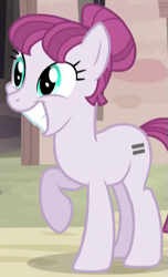 Size: 313x515 | Tagged: safe, screencap, character:rosemary, species:pony, episode:the cutie map, g4, my little pony: friendship is magic, equal cutie mark, equalized, false smile, solo