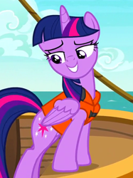Size: 500x670 | Tagged: safe, screencap, character:twilight sparkle, character:twilight sparkle (alicorn), species:alicorn, species:pony, episode:p.p.o.v. (pony point of view), g4, my little pony: friendship is magic, cropped, lidded eyes, lifejacket, solo