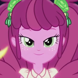 Size: 720x720 | Tagged: safe, screencap, character:cheerilee, episode:life is a runway, equestria girls:rainbow rocks, g4, my little pony:equestria girls, cropped, solo