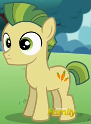 Size: 557x758 | Tagged: safe, screencap, character:carrot crunch, species:earth pony, species:pony, episode:crusaders of the lost mark, g4, my little pony: friendship is magic, colt, cropped, discovery family, discovery family logo, foal, male, solo