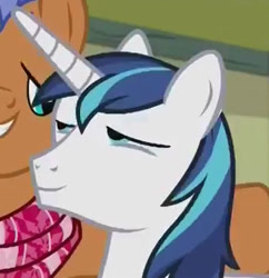 Size: 329x340 | Tagged: safe, screencap, character:shining armor, character:spearhead, species:pony, species:unicorn, episode:a flurry of emotions, g4, my little pony: friendship is magic, cropped, lidded eyes