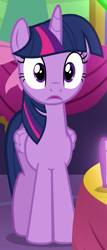 Size: 360x840 | Tagged: safe, screencap, character:spike, character:twilight sparkle, character:twilight sparkle (alicorn), species:alicorn, species:dragon, species:pony, episode:gauntlet of fire, g4, my little pony: friendship is magic, cropped, solo focus, stare