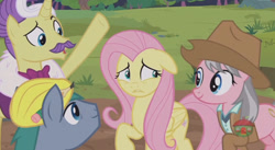 Size: 844x462 | Tagged: safe, screencap, character:dandy grandeur, character:fluttershy, character:hard hat, character:wrangler, species:pony, episode:fluttershy leans in, g4, my little pony: friendship is magic
