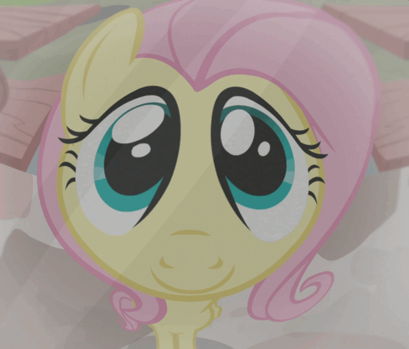 Size: 596x508 | Tagged: safe, screencap, character:fluttershy, species:pegasus, species:pony, episode:fluttershy leans in, g4, my little pony: friendship is magic, animated, cute, fisheye lens, gif, looking at you, loop, shyabetes, solo