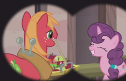 Size: 732x471 | Tagged: safe, screencap, character:big mcintosh, character:sugar belle, species:earth pony, species:pony, ship:sugarmac, episode:hard to say anything, g4, my little pony: friendship is magic, apple, basket, binoculars, bushel basket, female, food, male, mare, mouth hold, shipping, shipping goggles, stallion, straight