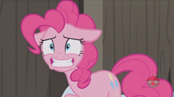 Size: 1234x692 | Tagged: safe, screencap, character:pinkie pie, species:pony, episode:not asking for trouble, g4, my little pony: friendship is magic, floppy ears, smiling, solo