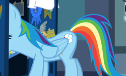 Size: 1012x610 | Tagged: safe, screencap, character:rainbow dash, species:pegasus, species:pony, episode:parental glideance, g4, my little pony: friendship is magic, blue ribbon, cropped, female, locker room, mare, solo
