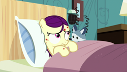 Size: 1920x1080 | Tagged: safe, screencap, character:boysenberry, species:pony, episode:a flurry of emotions, g4, my little pony: friendship is magic, horsey hives, plushie, raccoon, solo