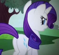 Size: 1002x942 | Tagged: safe, screencap, character:rarity, species:pony, species:unicorn, episode:honest apple, g4, my little pony: friendship is magic, cropped, female, looking back, mare, plot, rear view, solo