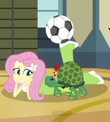 Size: 646x713 | Tagged: safe, screencap, character:fluttershy, episode:shake your tail, equestria girls:rainbow rocks, g4, my little pony:equestria girls, boots, clothing, cropped, female, football, hat, party hat, sad, shoes, skirt, tortoise