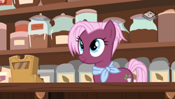 Size: 1024x576 | Tagged: safe, screencap, character:jasmine leaf, species:pony, episode:discordant harmony, g4, my little pony: friendship is magic, cash register, counter, food, jar, solo