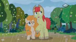 Size: 829x462 | Tagged: safe, screencap, character:bright mac, character:pear butter, species:pony, ship:brightbutter, episode:the perfect pear, g4, my little pony: friendship is magic, female, male, pear tree, rain, shipping, spring, straight