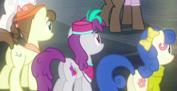 Size: 410x212 | Tagged: safe, screencap, character:pinot noir, species:pony, episode:the saddle row review, g4, my little pony: friendship is magic, blueberry curls, bubblegum blossom, cropped, pegasus olsen, peggy holstein, plot