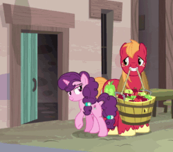 Size: 946x830 | Tagged: safe, screencap, character:big mcintosh, character:sugar belle, species:earth pony, species:pony, species:unicorn, ship:sugarmac, episode:hard to say anything, g4, my little pony: friendship is magic, animated, apple, basket, bedroom eyes, bushel basket, butt, female, food, looking at each other, male, mare, mouth hold, no sound, out of context, plot, shipping, stallion, straight, webm