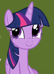 Size: 488x668 | Tagged: safe, screencap, character:twilight sparkle, character:twilight sparkle (alicorn), species:alicorn, species:pony, episode:fame and misfortune, g4, my little pony: friendship is magic, cute, oh you, smiling, solo, twiabetes