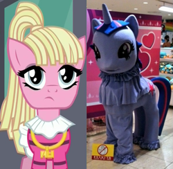 Size: 591x576 | Tagged: safe, screencap, character:bleeding heart, species:pony, episode:the saddle row review, g4, my little pony: friendship is magic, comparison, female, irl, mare, photo, twidayo
