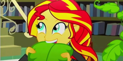 Size: 666x330 | Tagged: safe, screencap, character:sunset shimmer, episode:epic fails, eqg summertime shorts, g4, my little pony:equestria girls, clothing, cute, female, jacket, plant, shimmerbetes, solo, teeth