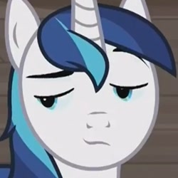 Size: 472x472 | Tagged: safe, screencap, character:shining armor, species:pony, species:unicorn, episode:a flurry of emotions, g4, my little pony: friendship is magic, cropped, cute, shining adorable, smug