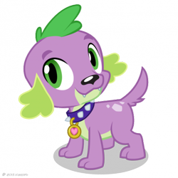 Size: 480x480 | Tagged: safe, screencap, character:spike, species:dog, equestria girls:rainbow rocks, g4, my little pony:equestria girls, 2015, puppy, simple background, smiling, spike the dog, transparent background, vector