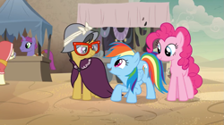 Size: 1279x715 | Tagged: safe, screencap, character:a.k. yearling, character:daring do, character:desert flower, character:pinkie pie, character:rainbow dash, species:earth pony, species:pegasus, species:pony, species:unicorn, episode:daring done, background pony, female, glasses, hijab, male, mare, market, somnambula (location), somnambula resident, stallion, unnamed pony