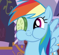 Size: 500x467 | Tagged: safe, screencap, character:rainbow dash, species:pegasus, species:pony, aweeg*, cucumber, cucumber monocle, cucumber pirate, cute, dashabetes, eating, female, mare, puffy cheeks, reaction image, smiling