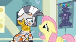 Size: 854x470 | Tagged: safe, screencap, character:fluttershy, character:zecora, species:pegasus, species:pony, species:zebra, episode:a health of information, g4, my little pony: friendship is magic, carousel (tv channel), cute, floppy ears, frown, looking at each other, sadorable, shyabetes, swamp fever, zecorable
