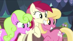 Size: 1024x574 | Tagged: safe, screencap, character:daisy, character:lily, character:lily valley, character:roseluck, episode:it isn't the mane thing about you, g4, my little pony: friendship is magic, cute, flower trio, happy, smiling