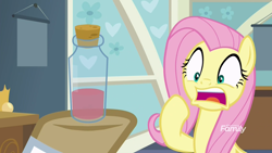 Size: 1920x1080 | Tagged: safe, screencap, character:doctor muffin top, character:fluttershy, episode:a health of information, g4, my little pony: friendship is magic, discovery family logo, hoof hold, scared, test tube