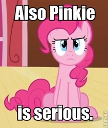 Size: 323x382 | Tagged: safe, editor:eden89, screencap, character:pinkie pie, species:earth pony, species:pony, episode:too many pinkie pies, g4, my little pony: friendship is magic, cropped, female, image macro, mare, serious, solo
